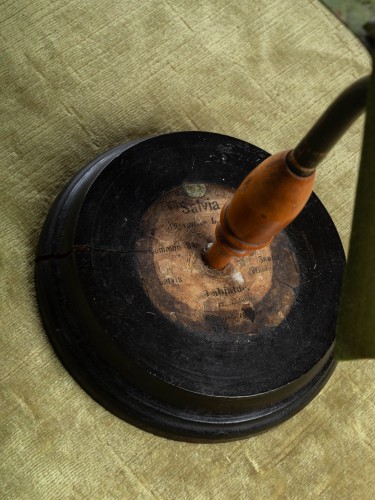 Modèle botanique d'une Fleur de Sauge par Robert Brendel - Objets de Curiosité Style 