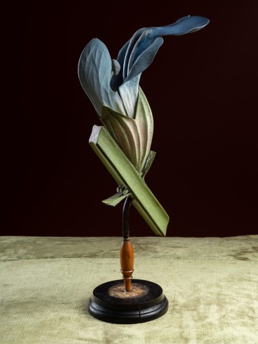 Objets de Curiosité  - Modèle botanique d'une Fleur de Sauge par Robert Brendel