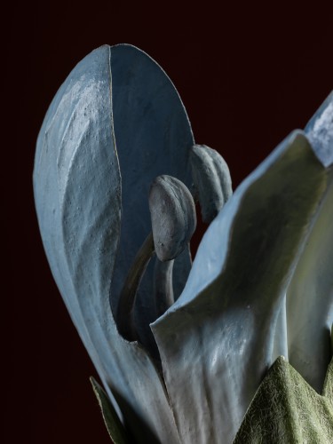 Modèle botanique d'une Fleur de Sauge par Robert Brendel - Galerie Lamy Chabolle