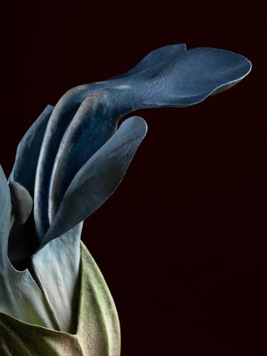 XIXe siècle - Modèle botanique d'une Fleur de Sauge par Robert Brendel