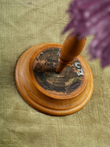 Modèle botanique d'un Œillet (Dianthus caryophyllus) par Robert Brendel - Objets de Curiosité Style 