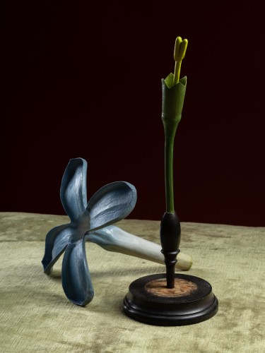Objets de Curiosité  - Modèle botanique d'une Fleur de Lilas (Syringa vulgaris) par Robert Brendel
