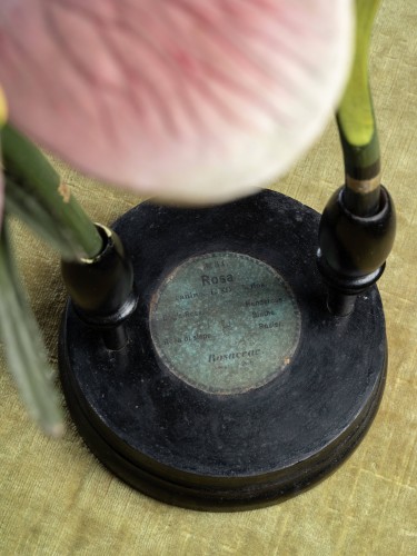Modèle botanique d'une fleur d’Églantier (Rosa canina) par Reinhold Brendel - Galerie Lamy Chabolle