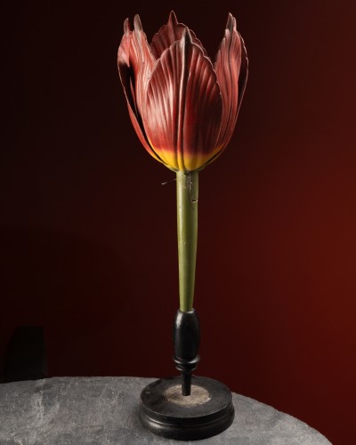 Modèle botanique d'une tulipe (Tulipa gesneriana) par Robert Brendel - Objets de Curiosité Style 