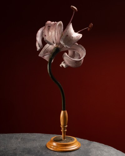 Botanical Model of a Lily flower (Lilium martagon) by Robert Brendel - Curiosities Style Art nouveau