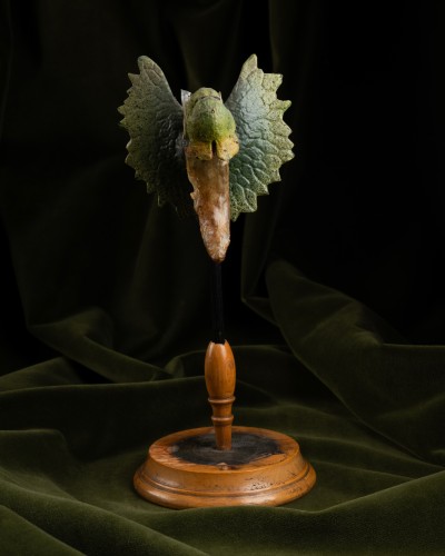 Botanical models of ferns and angiosperms, including two Brendel - Curiosities Style 