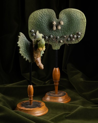 Botanical models of ferns and angiosperms, including two Brendel - 