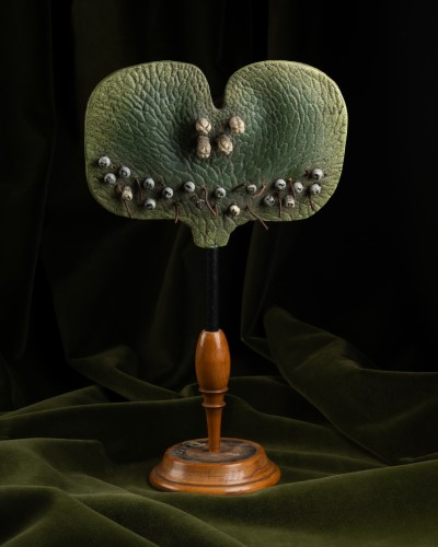  - Botanical models of ferns and angiosperms, including two Brendel