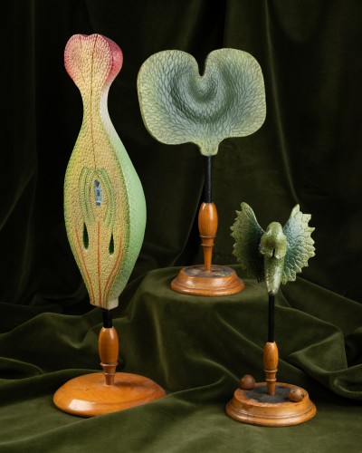 Antiquités - Botanical models of ferns and angiosperms, including two Brendel