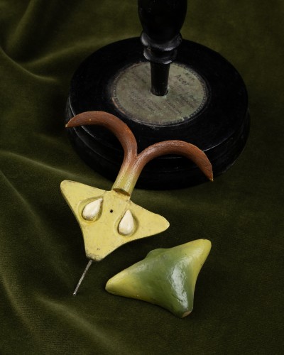  - Two botanical models of male and female maple flowers (Acer campestre) by B