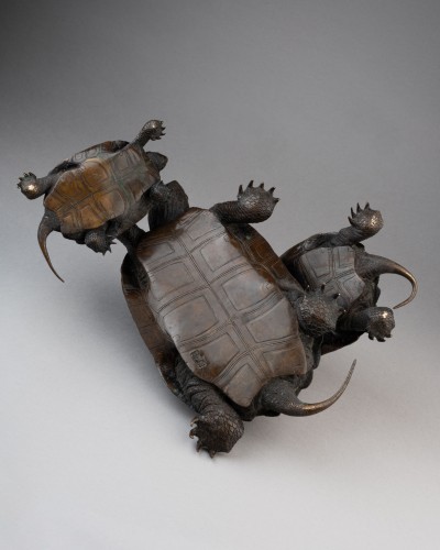 Five tortoises, signed by Murata Seimin - Asian Works of Art Style 
