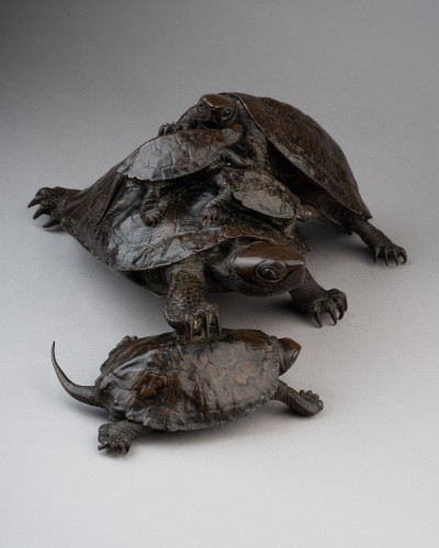 Five tortoises, signed by Murata Seimin - 