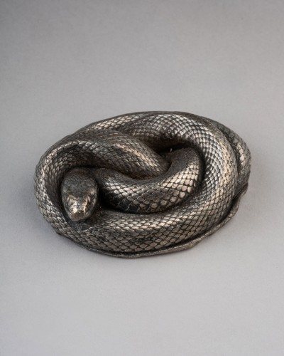 Couleuvre argentée d'après nature - Sculpture Style 