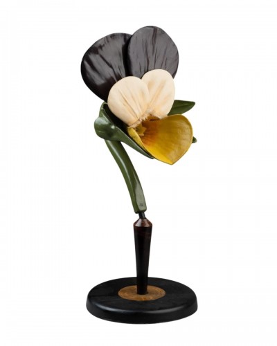 Modèle botanique d'une Pensée tricolore (Viola tricolor)