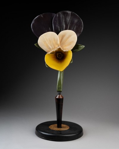 Modèle botanique d'une Pensée tricolore (Viola tricolor) - Objets de Curiosité Style Art nouveau