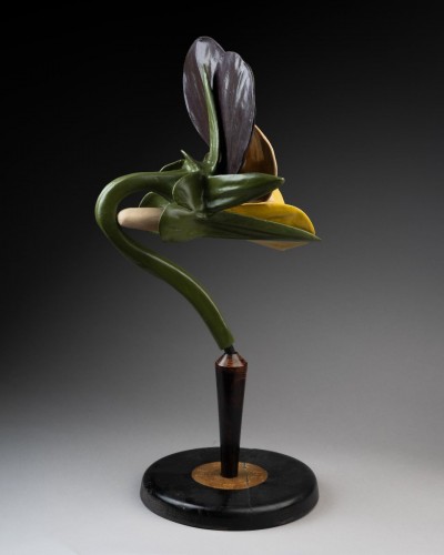 Objets de Curiosité  - Modèle botanique d'une Pensée tricolore (Viola tricolor)