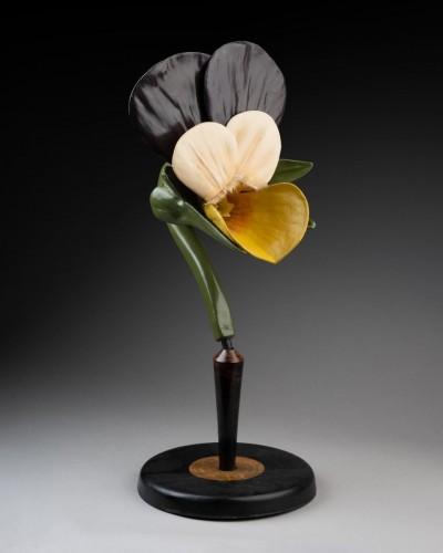 A Botanical Model Of A Pansy (viola Tricolor) - 