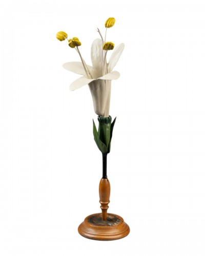 Modèle botanique d'une valériane (Valeriana officinalis) par les ateliers Brendel