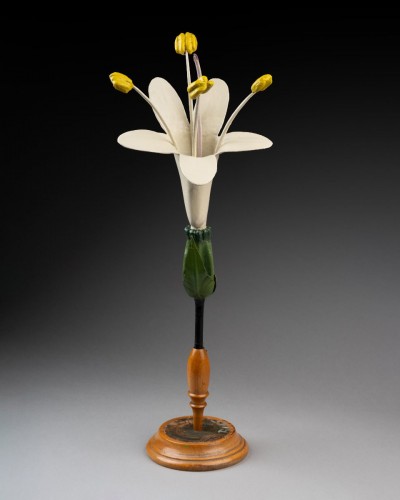 Modèle botanique d'une valériane (Valeriana officinalis) par les ateliers Brendel - Objets de Curiosité Style Art nouveau