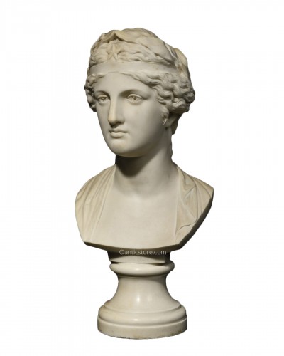 Marble bust representing the muse Urania - late 19th century  