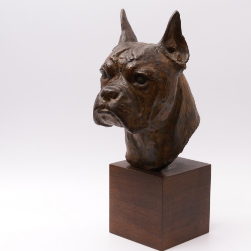 Bronze Boxer Head -  Pierre Blanc (1902-1986) - Sculpture Style 50