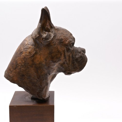 Bronze Boxer Head -  Pierre Blanc (1902-1986) - 