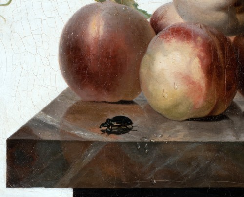 Nature morte aux fruits, papillon et scarabée, attribué à Van Dael - Galerie Laury-Bailly