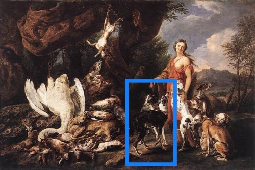 A study of two hunting dogs - Jan Fijt (1611 - 1661) - Paintings & Drawings Style 