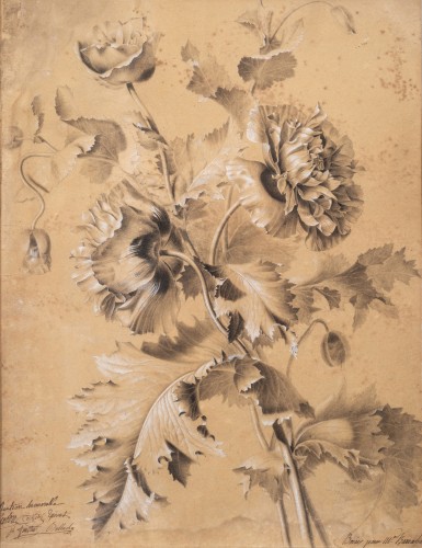 Augustin Thierriat (1789-1870) - Study of Pavots