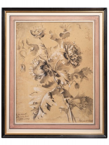 Augustin Thierriat (1789-1870) - Study of Pavots - Paintings & Drawings Style Empire