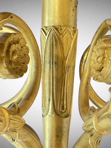 Antiquités - Paire de grandes appliques en bronze doré et patiné d'époque Empire