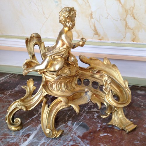 Paire de chenets Napoléon III - Objet de décoration Style Napoléon III