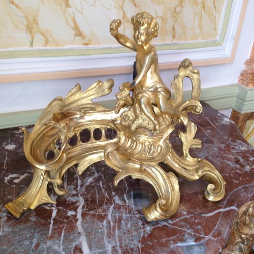 Objet de décoration  - Paire de chenets Napoléon III