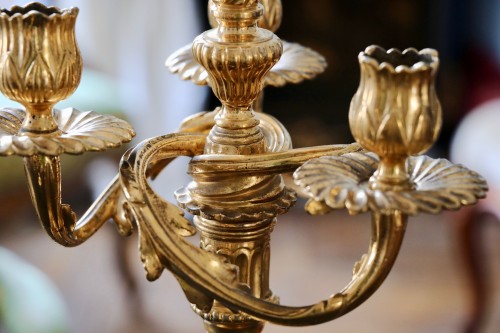Paire de candélabres à trois bras de lumière en bronze doré - Galerie Pellat de Villedon