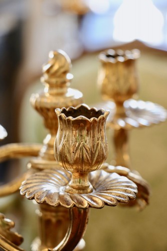 Paire de candélabres à trois bras de lumière en bronze doré - Louis XV
