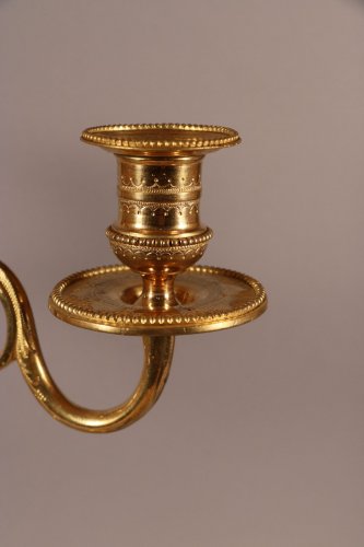 XVIIIe siècle - Paire de candélabres à deux bras de lumière, bronze ciselé et doré, époque Louis XVI