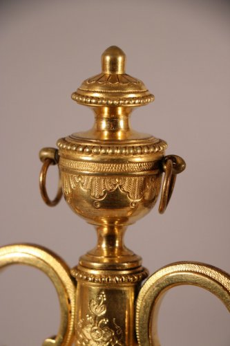 Antiquités - Paire de candélabres à deux bras de lumière, bronze ciselé et doré, époque Louis XVI