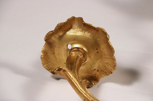 Paire d’appliques à deux branches en bronze doré - Galerie Pellat de Villedon