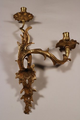 Antiquités - Paire d’appliques à deux branches en bronze doré