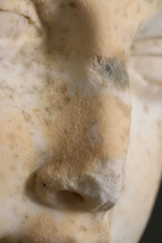 Buste d'Attis en marbre de Carrare - Galerie Pellat de Villedon