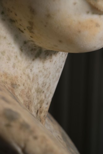 Buste d'Attis en marbre de Carrare - 