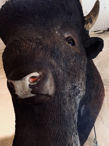 Life-size "papier mâché buffalo head, 1880-1920