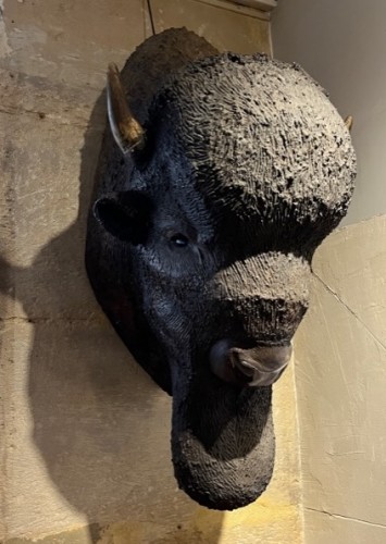 Curiosities  - Life-size &quot;papier mâché buffalo head, 1880-1920