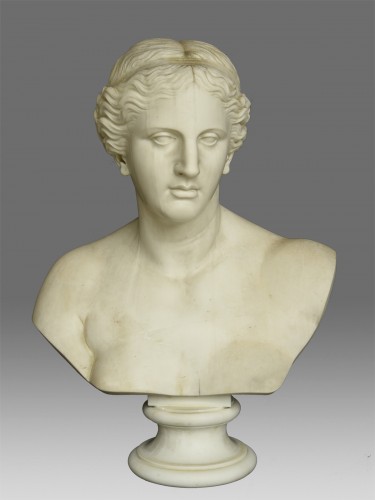 Buste en marbre Venus de Milo - Carl Voss Rome 1873 - Galerie Puch