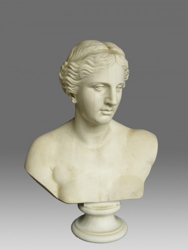 Sculpture Sculpture en Marbre - Buste en marbre Venus de Milo Carl Voss Rome