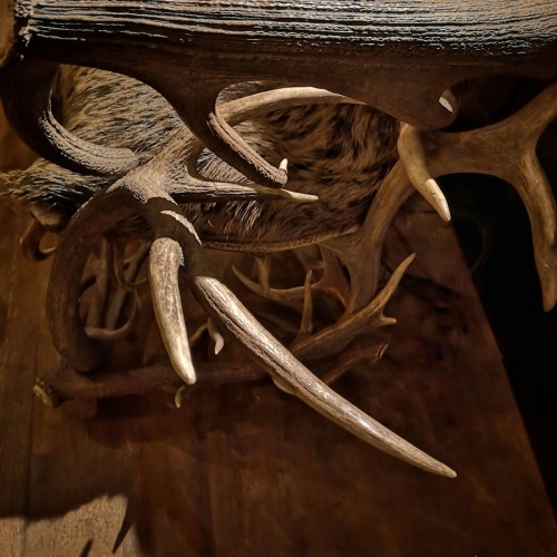 Seating  - Antler armchair