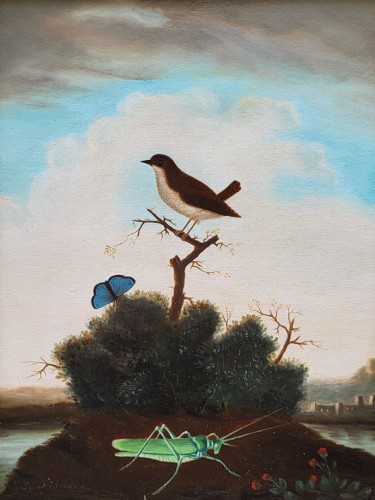 Birds, Insects, and Butterflies, signed P NEUMANN - Paintings & Drawings Style 