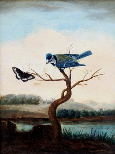 Paintings & Drawings  - Birds, Insects, and Butterflies, signed P NEUMANN