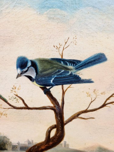 Birds, Insects, and Butterflies, signed P NEUMANN - 
