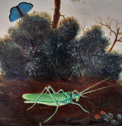 Antiquités - Birds, Insects, and Butterflies, signed P NEUMANN